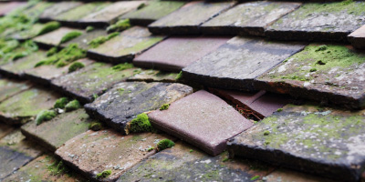 Maes Glas roof repair costs